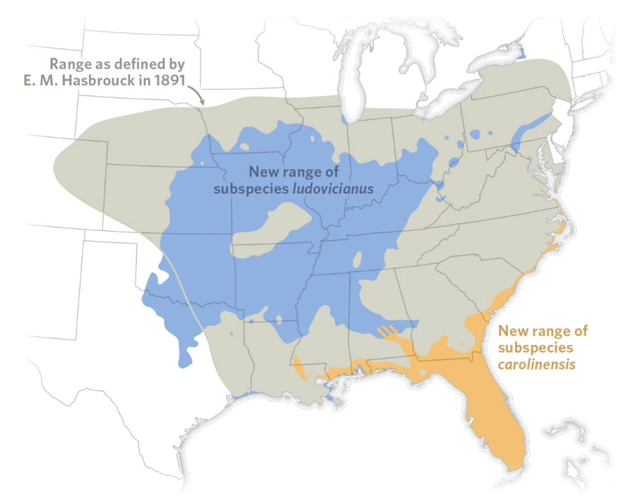 Distribution Carolina parakeet