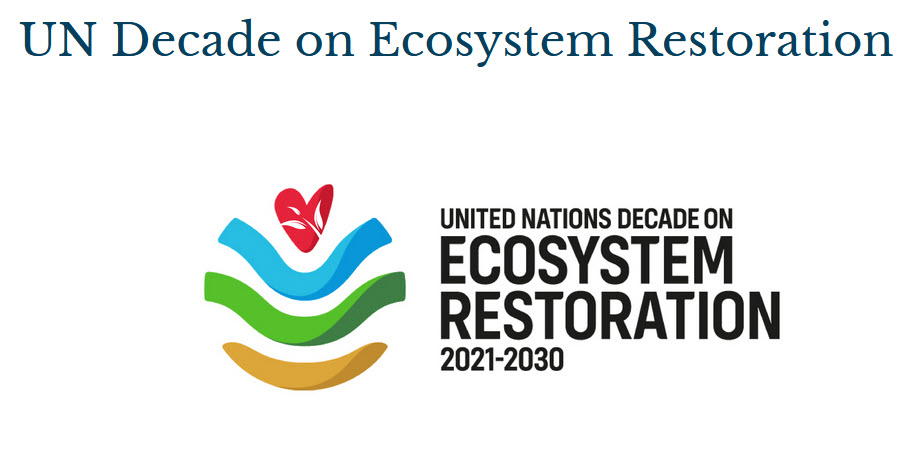 UN Decade on Ecological Restoration