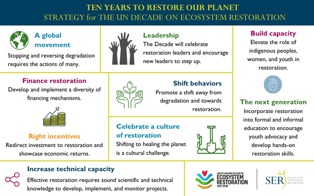 Strategy for the UN Decade on Ecosystem Restoration