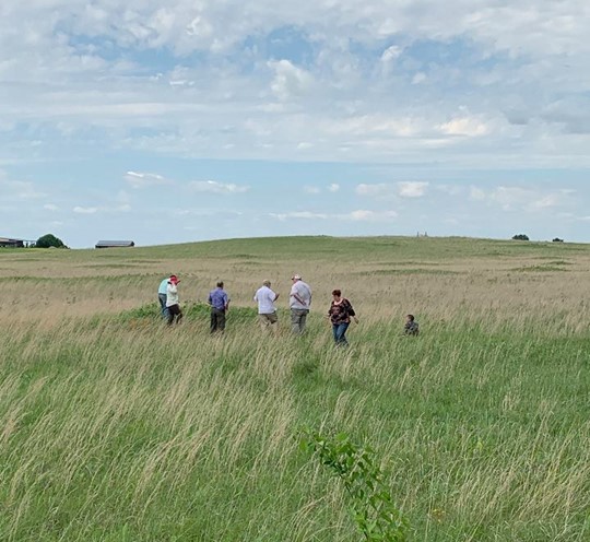 botanizing Pickle Prairie