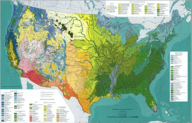 Kuchlers-Potential-Natural-Vegetation-map-1964