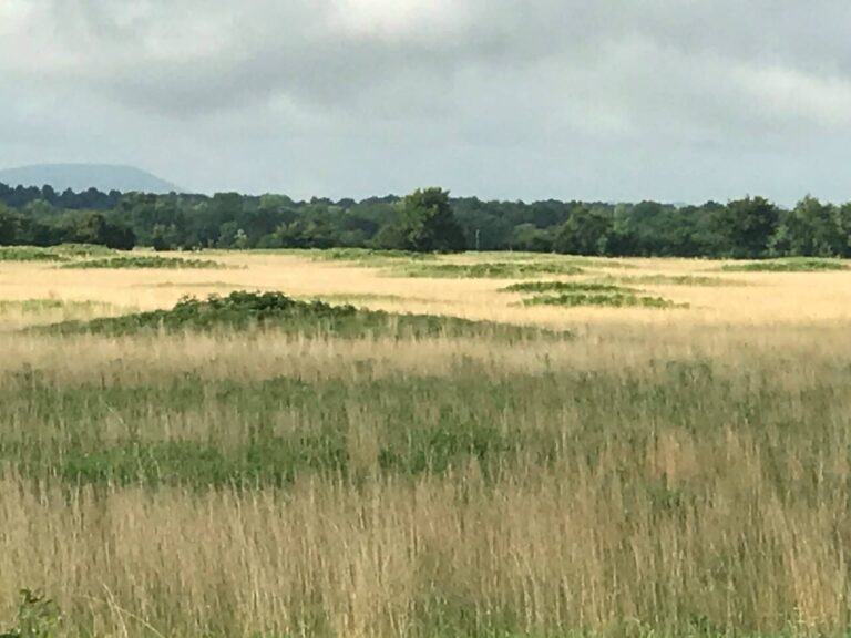 Poteau-Valley-Prairie